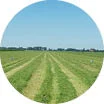 Crop image