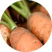 Crop image