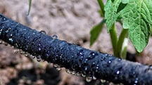 General Aspects of Fertigation
