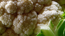 Boosting Brassicas with Polysulphate