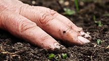 Use Polysulphate to Lower Farm Carbon Footprint