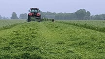 Seeing the Benefits of Sulphur Fertiliser