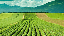 Using Polysulphate to Lower the Carbon Footprint of Farming