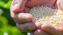 Maximise Nutrient Use Efficiency with CRF