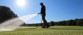 Wetting agents’ crucial role in turf management programmes