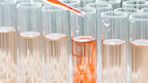 What You Need to Know About pH