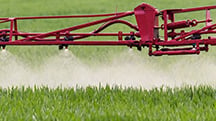 Foliar Fertiliser Developed for Agriculture
