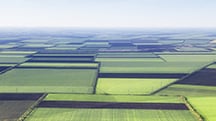 Controlled Release Fertilisers (CRF) – helping towards net zero