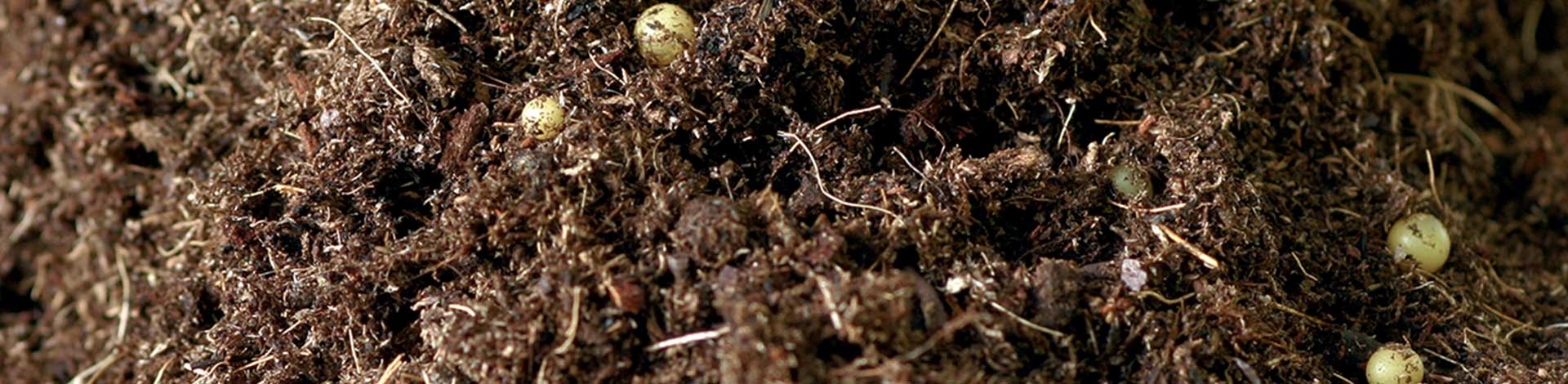 Let’s talk about peat