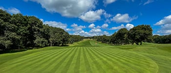 Dry patch in fine turf: causes and solutions