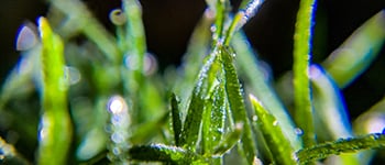 The importance of moisture management