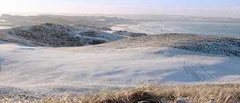 Fine turf management during winter