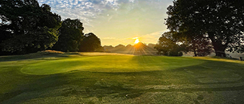 Autumn disease management