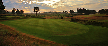 Why wetting agents are so essential for golf green management