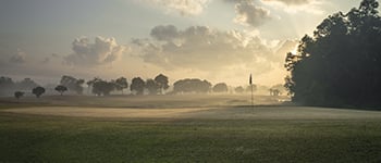 Generating recovery before the main growing season