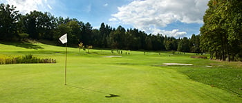 The importance of golf green fertiliser programmes