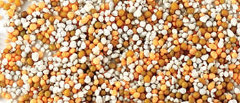 Diving into the efficiency of controlled release fertilisers