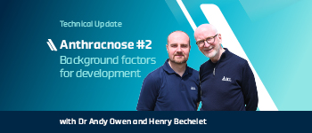Anthracnose video series #2: Background factors for development