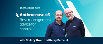Anthracnose video series #3: Anthracnose, best management advice for control