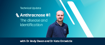 Anthracnose video series #1: The disease and identification