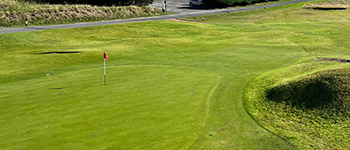 ICL trio work in sustainable approach