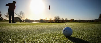 Don’t get caught by Anthracnose