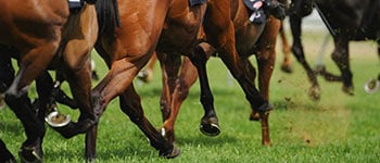 Fertilisers with staying power