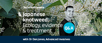 Japanese knotweed: Ecology, evidence & treatment (Q&A)