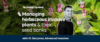 Managing herbaceous invasive plants and their seed banks
