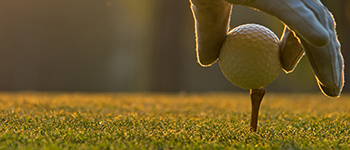 Gronamic Golf 6-2-4 combines mineral & plant-based organic nutrition with a proven biostimulant.