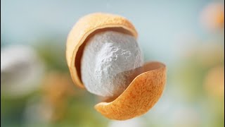 ICL launches eqo.s in EU: a biodegradable CRF technology