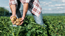 Polysulphate: Counting on Calcium