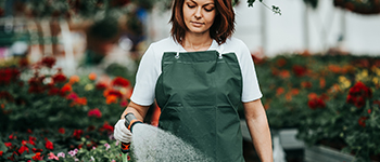 Agentes Humectantes (Surfactantes) para Horticultura