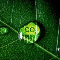 Reduciendo la Huella de Carbono de la Agricultura