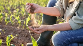 How Can US Farmers Prepare for Drought