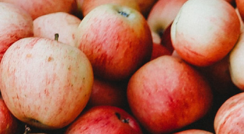 Nova HiPeak Apple Trial in Michigan