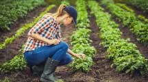 Meet the other macronutrients & learn why they matter for potatoes
