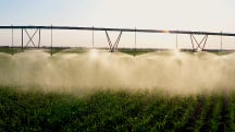 Podcast: Choosing and applying the right water-soluble fertilizers (WSF)