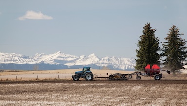 Webinar: Make Every Seed Count – Optimizing Crop Nutrition for Success
