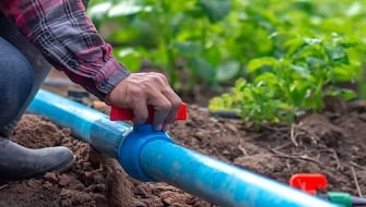 The Convenience and Customization of Water-Soluble Fertilizers