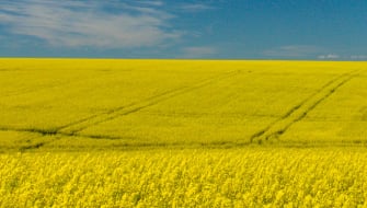 Webinar: Multi-nutrient, seed-safe sulfur solution Polysulphate (polyhalite)