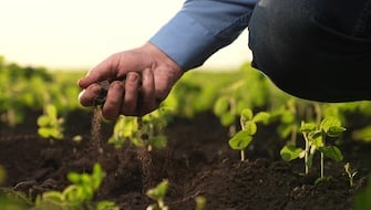 ICL’s Dan Bihlmeyer: Perspectives on Agribusiness and Leadership