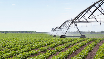 Elevating Soybean Yields: Starter Fertilizers & Early Season Growth
