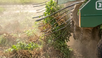 Technical Bulletin: Fertilizing Peanut with Polysulphate (polyhalite)