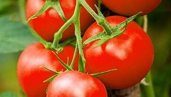 Improving the Nutritional Quality of Crops with Potassium
