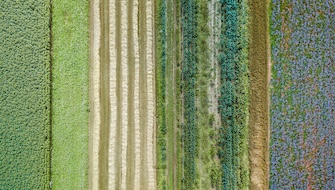 Organic Fertilizers