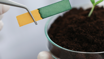 Q&A: Everything You Need to Know About Soil pH