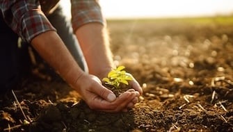Detecting and Correcting Nutrient Deficiencies