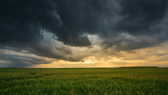 Four Ways to Maximize Fertilizer Efficiency while Mitigating Weather Extremes