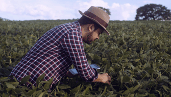 Field to Fork: The Role of Low-Carbon Fertilizers in Sustainable Food Supply Chains